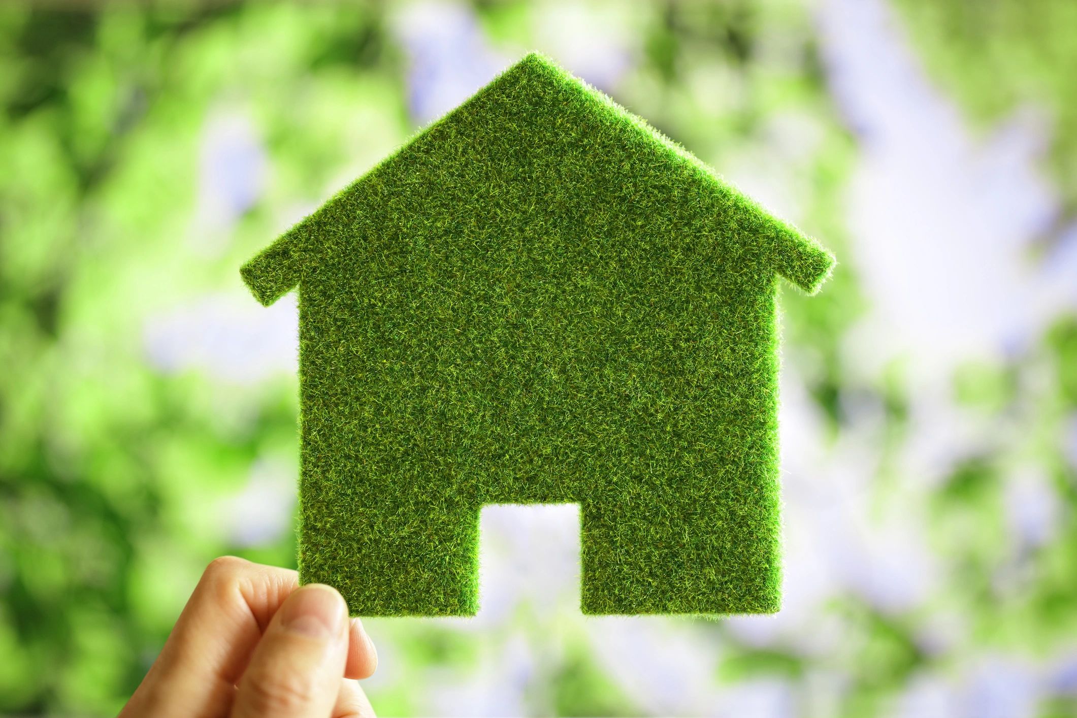 Sustainability Specialist